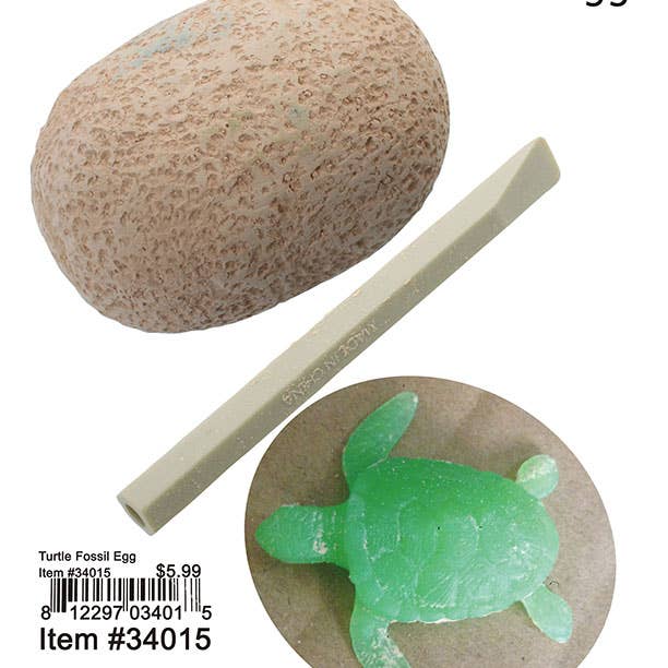 Puka Creations - Wholesale Classic Toy - Kids - Turtle Fossil Egg