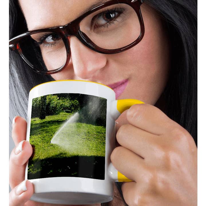 3dRose - Wholesale Coffee Mug - 3dRose, Automatic sprinkler device waters the garden on a hot summer day, Mug1