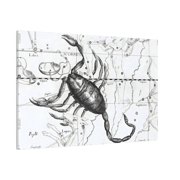 Print Pothecary - Wholesale Art Print - Scorpio Astrology Canvas Print - Apothecary Art for Home or Office - Apothecary Decor4