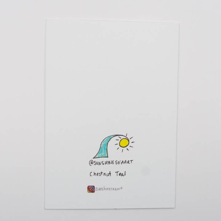 Sunshine Sea Art - Wholesale Birthday Card - Chestnut Teal Greeting Card | Australian Duck Birthday Card1