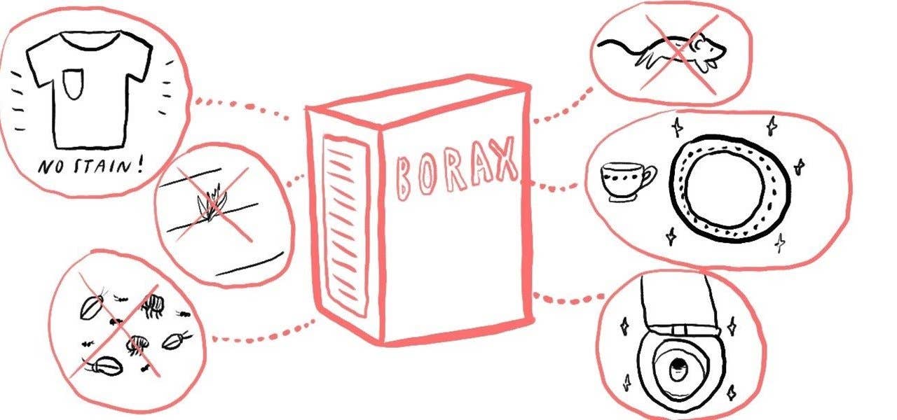 My Wholesale Warehouse - Vendita all'ingrosso Attrezzature per lavoretti e fai da te - Borace in polvere4