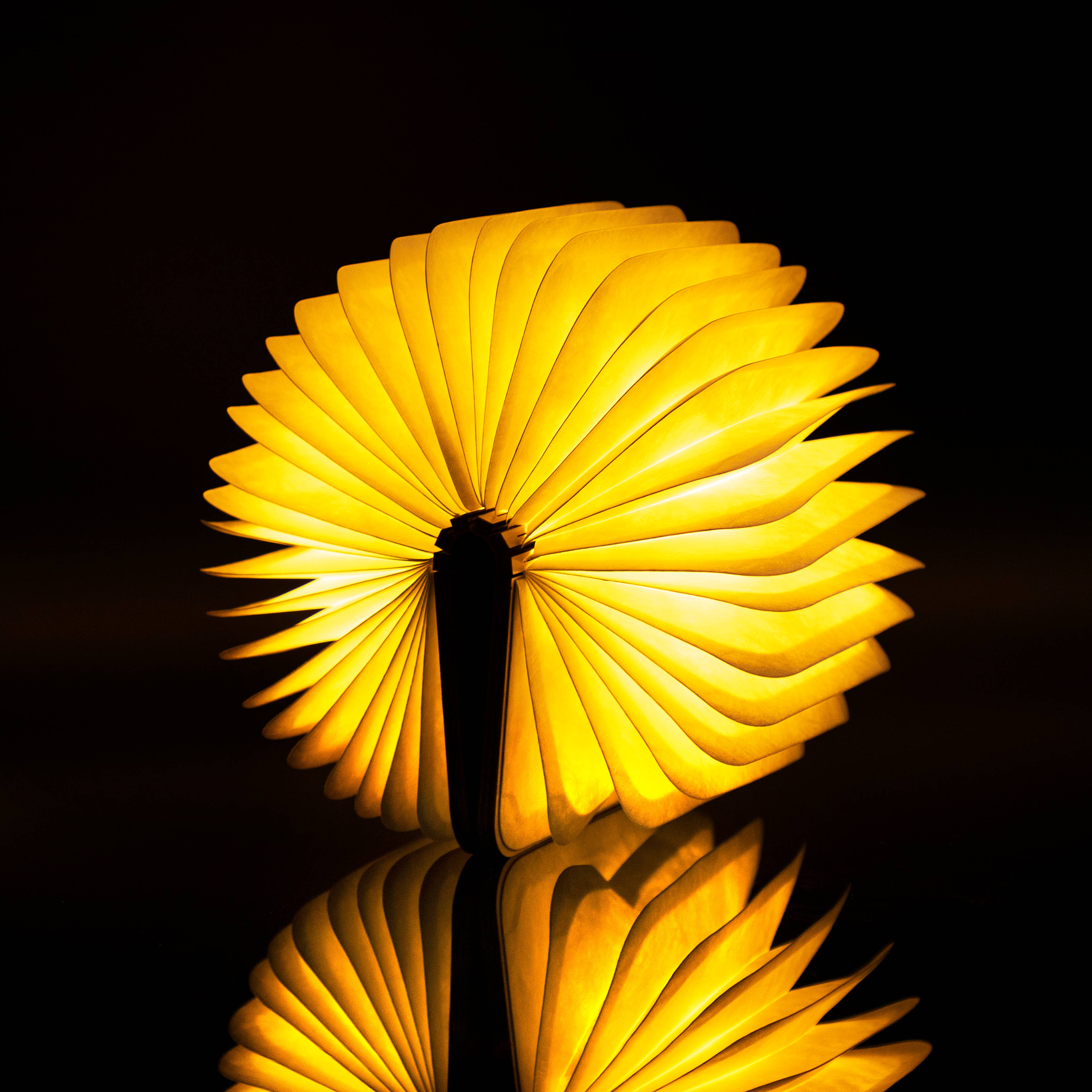 Gingko Design - Wholesale Booklight - Natural Wood Smart Book Light11