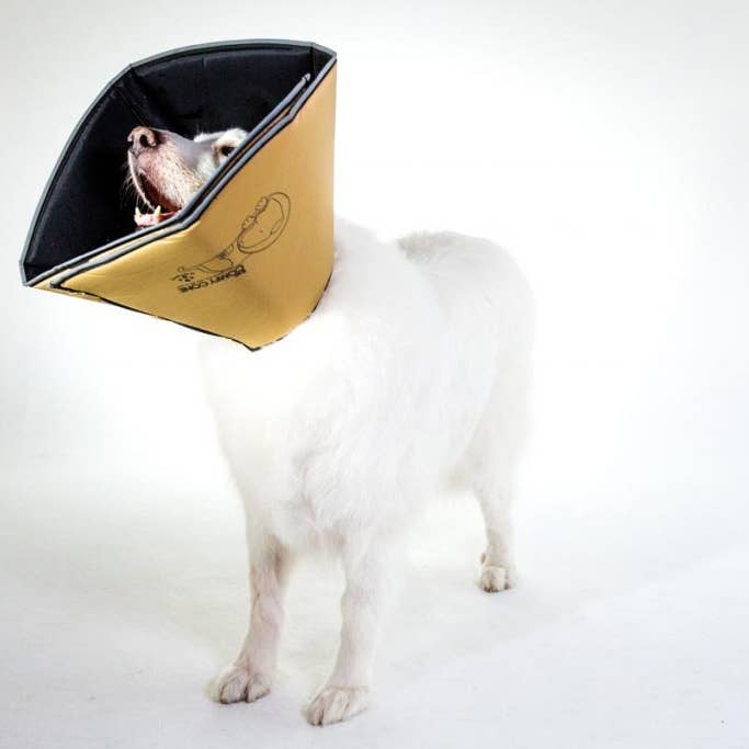 All Four Paws - Wholesale Pet Collar - Dog - XXL-The Original Comfy Cone
