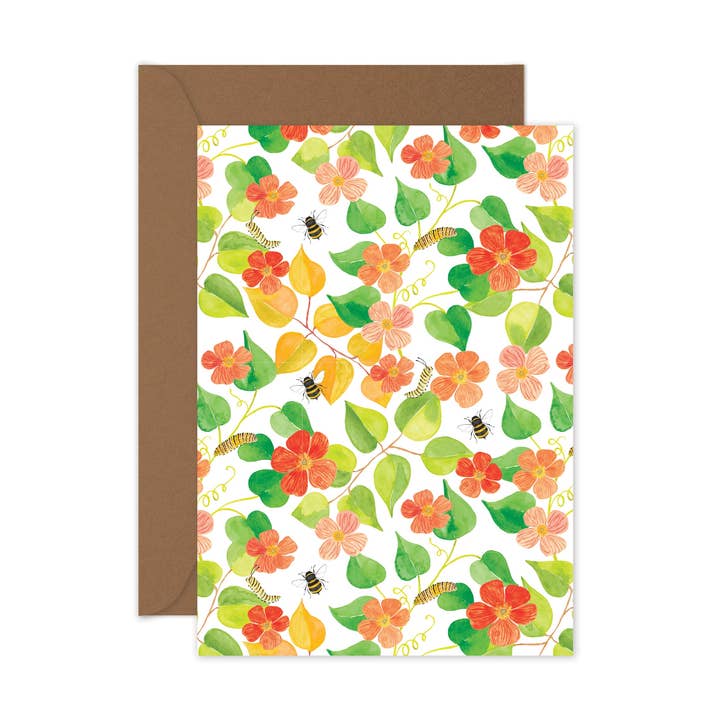 Coquelicots de jardin pour la vente par littlehoothoot