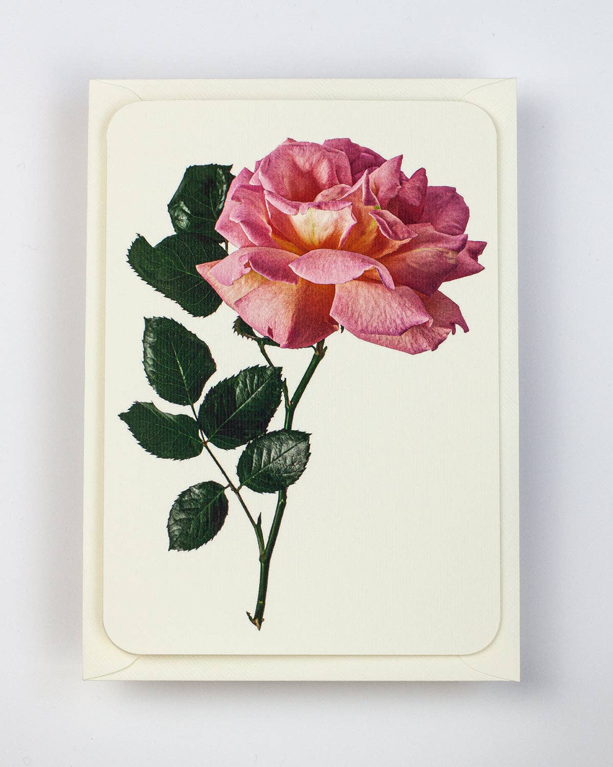 Canonbury Press - Wholesale Love Card - Pink Rose Greeting Card | Birthday Card | Luxury Cards1