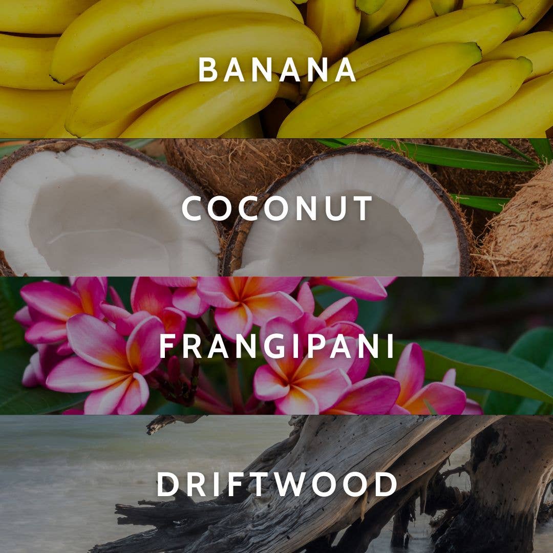 Little Torch - Wholesale Jar/Filled Candle - idyllic isle candle (banana, coconut, and tropical florals)2