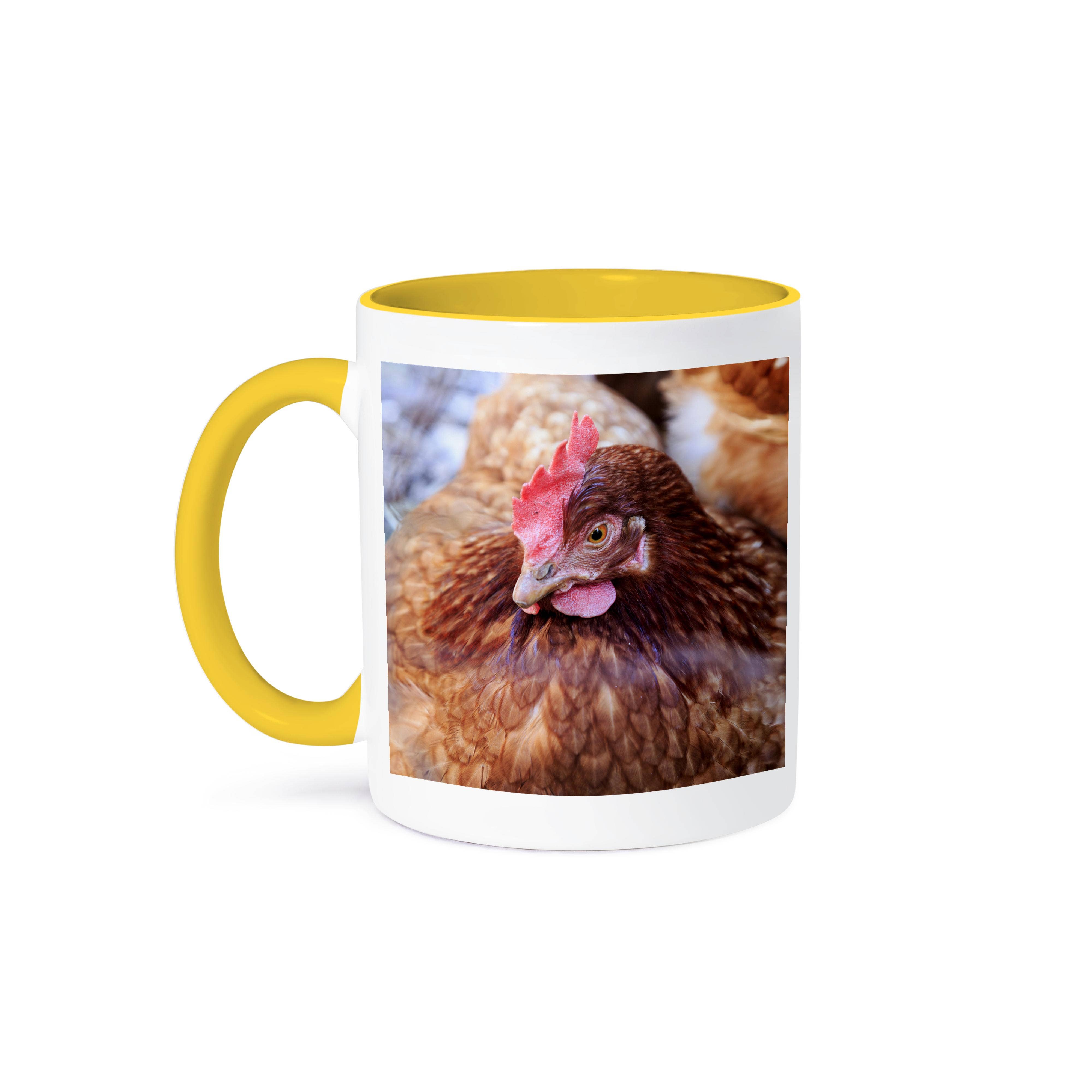 3dRose - Wholesale Coffee Mug - 3dRose, Spain, Balearic Islands, Mallorca. Chicken., Mug0