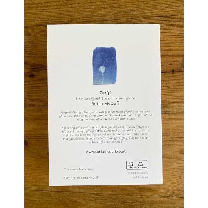 Made By McDuff – wholesale Everyday greeting card – 'Thrift' Derek Jarman Botanical Blue Greetings Card1
