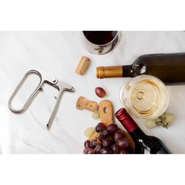 HIC - Harold Import Co. - Wholesale Kitchen Tool/Gadget - HIC Bar Champagne Opener5