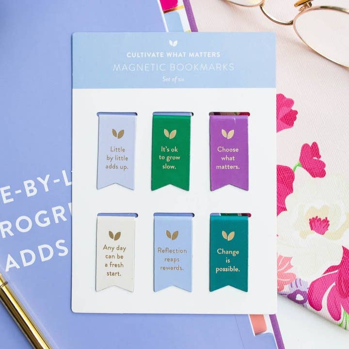 The Daily Grace Co - Wholesale Bookmark - Mini Magnetic Bookmarks | Core Truths0