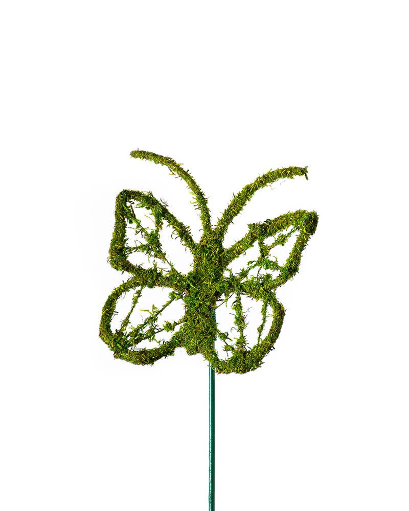 SuperMoss - Vente Piquets de jardin/pelouse - Monarch Moss Pick1