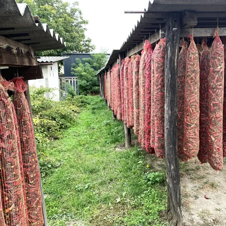 Burlap & Barrel - Wholesale Dried Spice - Szegedi 178 Hot Paprika - Single Origin Spice & Seasoning3