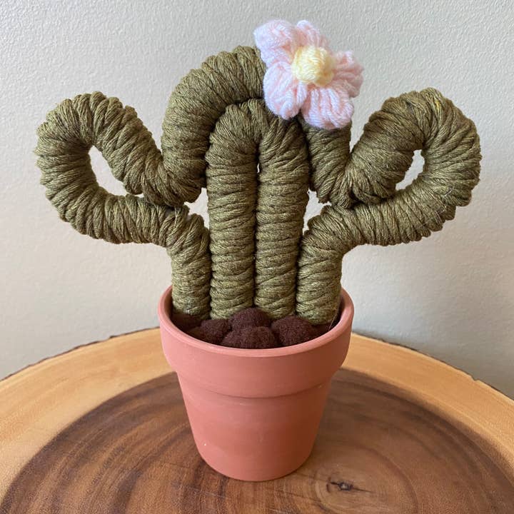 ForgetBKnot - Vente Plantes artificielles - Plante Éternelle Cactus en Macramé (Moyen & Petit)2