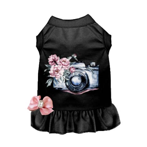 Kalla mig söt och ta bilder på mig för wholesale av Bark Fifth Avenue