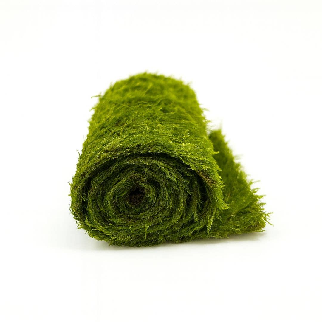 Moss & Stone Gardens – Großhandel Pflanzen – Lebende Moosmatte (Smaragd-Feder-Moos) | 40 cm x 40 cm1