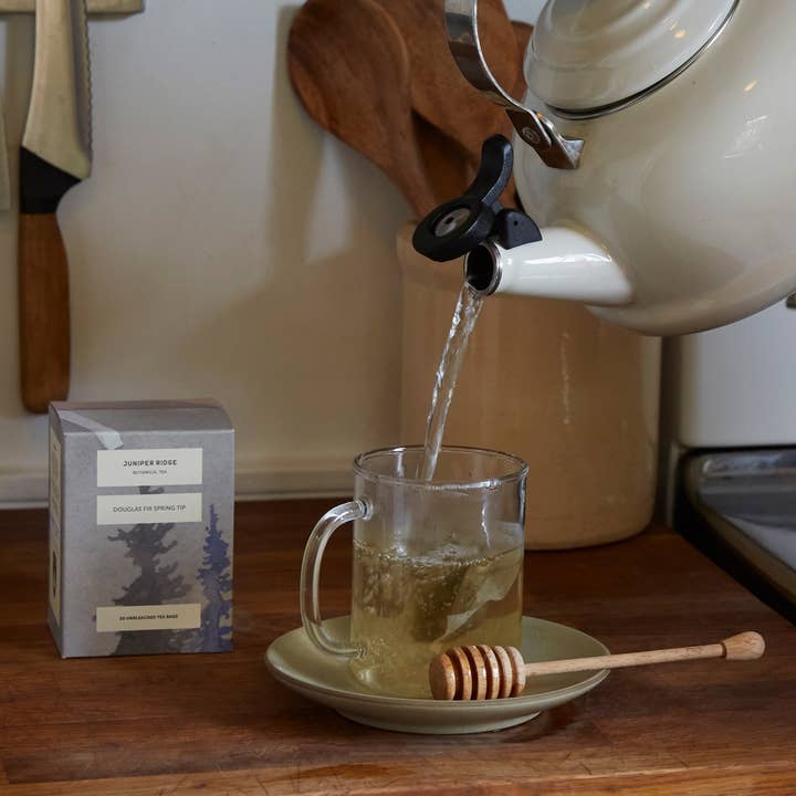 Juniper Ridge - Wholesale Loose Tea - Botanical Tea - Douglas Fir Spring Tip