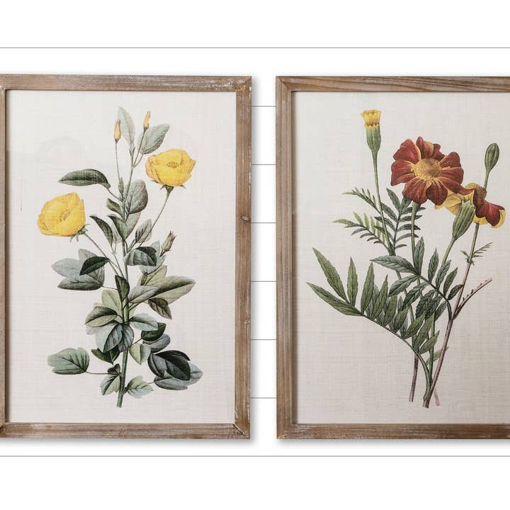 Framed Prints - Marigold And Ranunculus (Pk/02 Ast) for wholesale by Audrey's Home & Gift