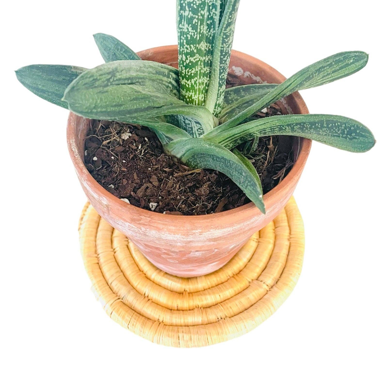 Beautifully Made Fair Trade - Wholesale Trivet - Kenya | Trivet2