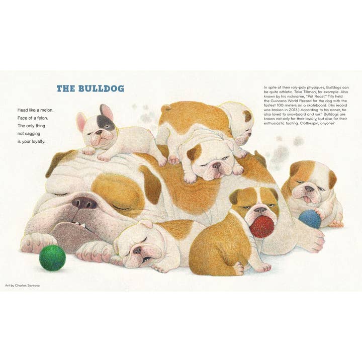 HarperCollins - Wholesale Pet Book - Best in Show : David Elliott2