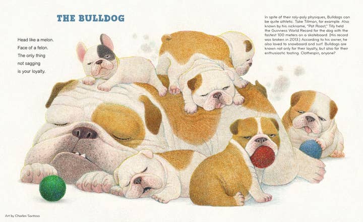 HarperCollins - Wholesale Pet Book - Best in Show : David Elliott2