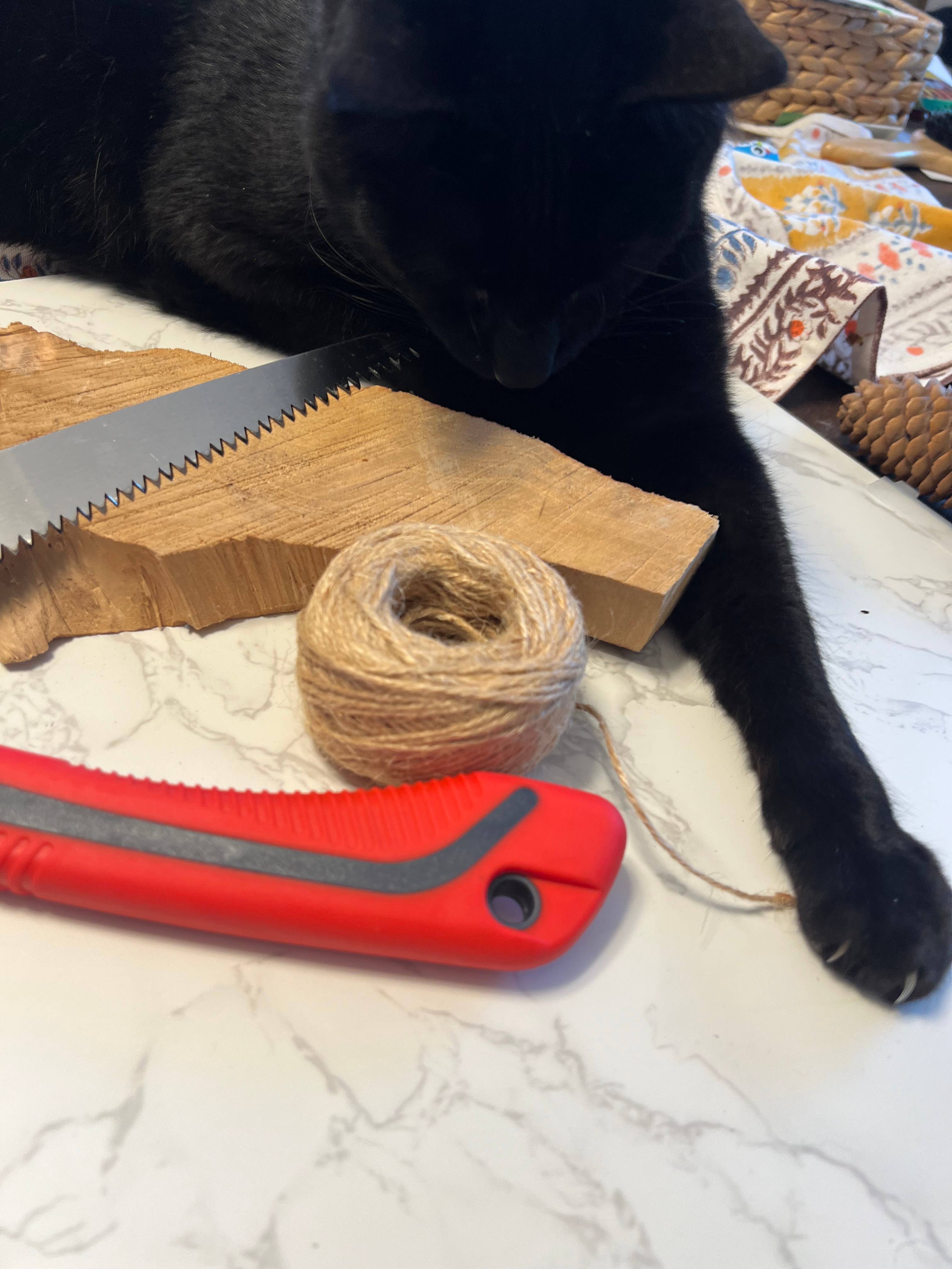 Bridgetown Garden Tools® - Vendita all'ingrosso Attrezzi da giardino - Sega pieghevole 8"6