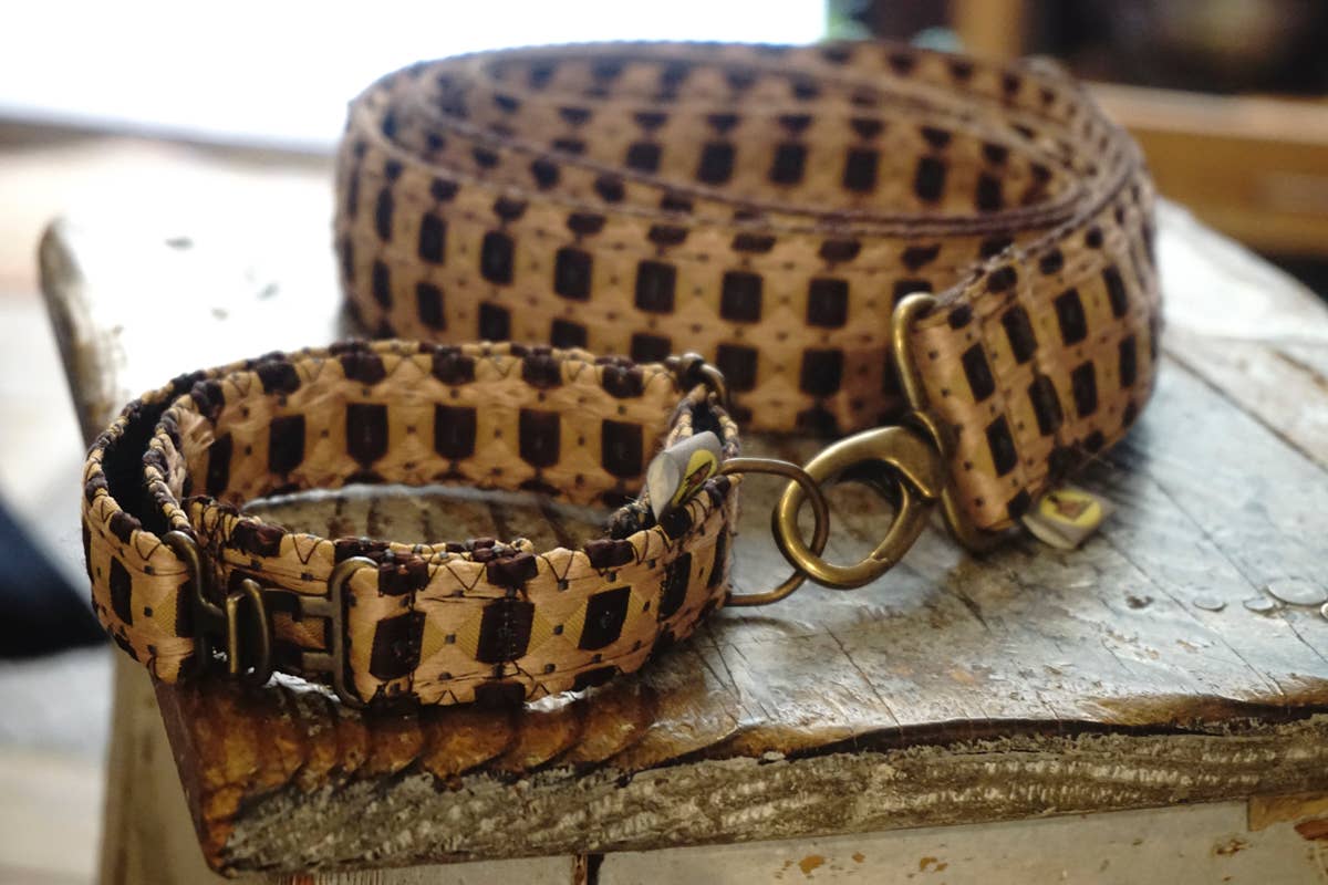 hundsfutter - Wholesale Pet Collar - Cat/Dog - Fran leash collar8