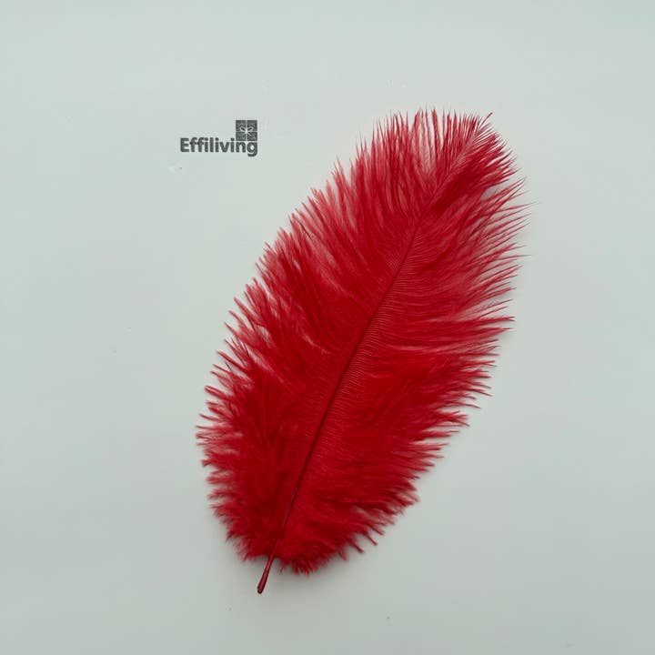 Effiliving - Wholesale Feathers - Natural Shed Ostrich Feathers, 50pcs Pack,Can Be Customized3
