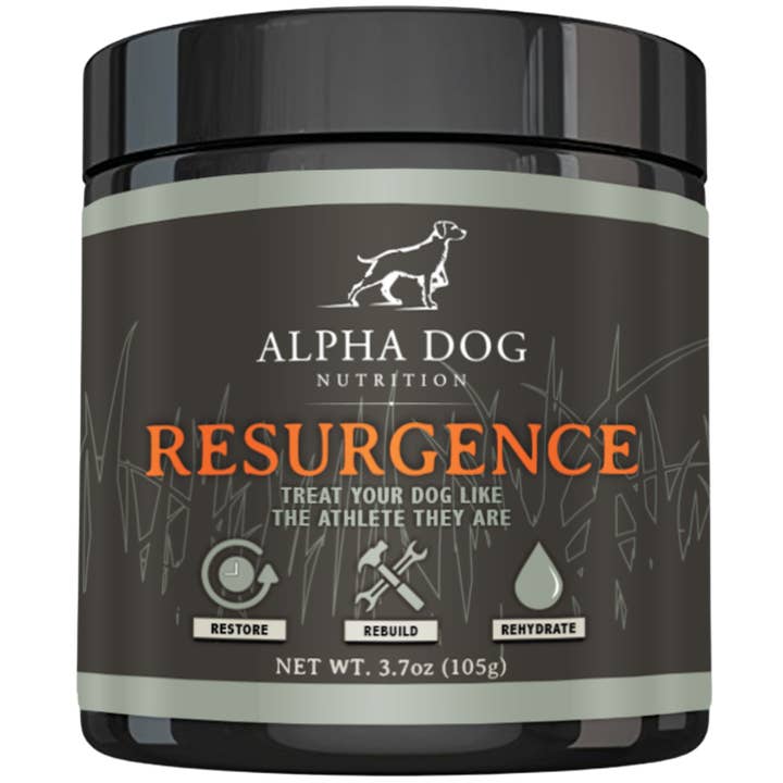 Resurgence Hydration & Recovery Supplement for Dogs for wholesale by Alpha Dog Nutrition