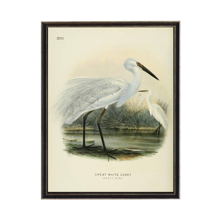 Vintage Waterbird Bookplate for wholesale by Antique Curiosities Inc