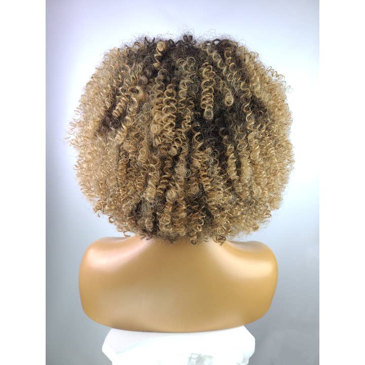 Celebrity Hair for Less - Wholesale Wig/hair piece - Afro Kinky Curly Wig with Afro Hairline, 10", 2/274