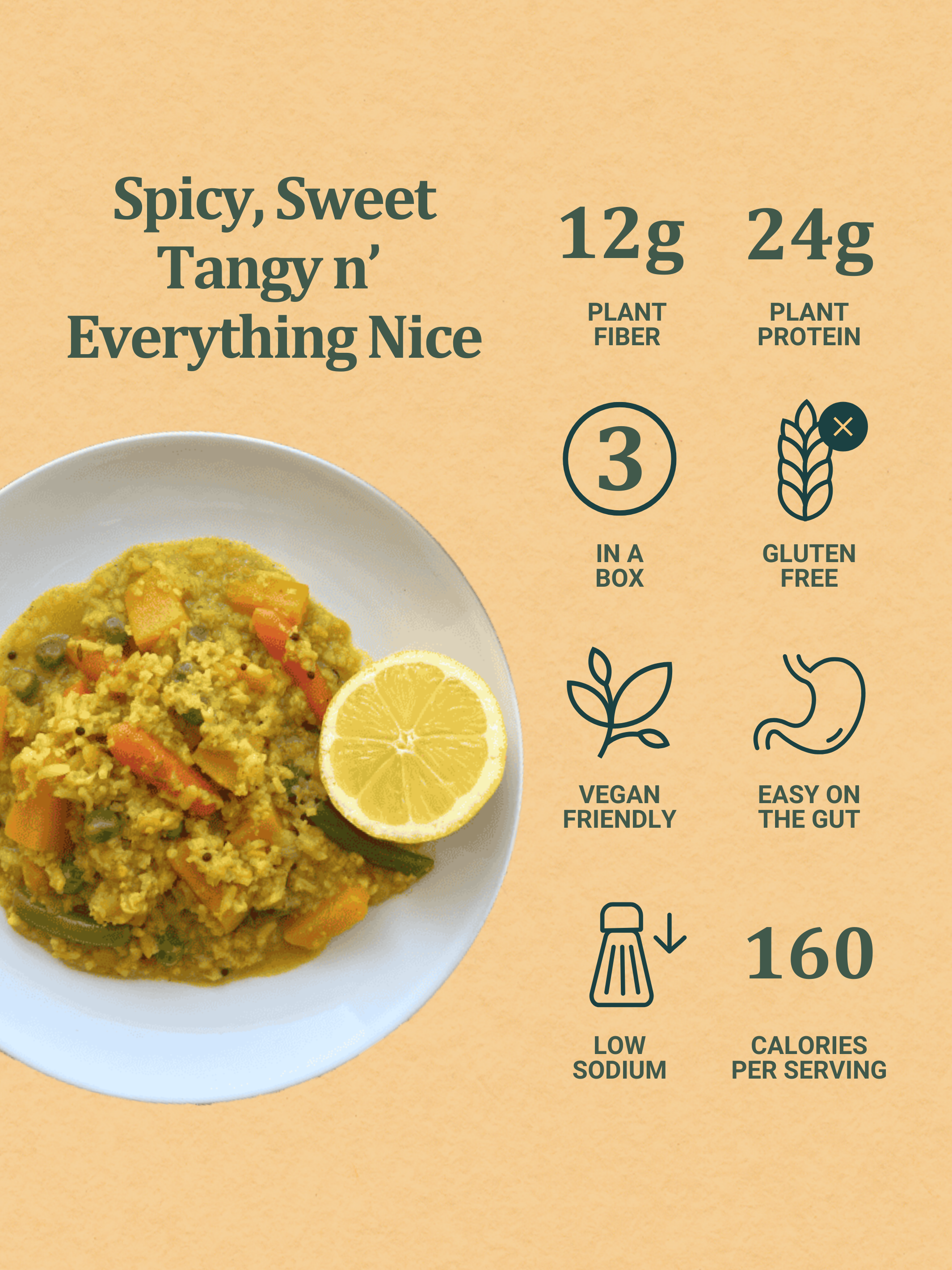 PODI life - South Indian Pantry - Wholesale Shelf Stable Prepared Meal - Bisi Bele Bath: 3 One Pot Meals/box1