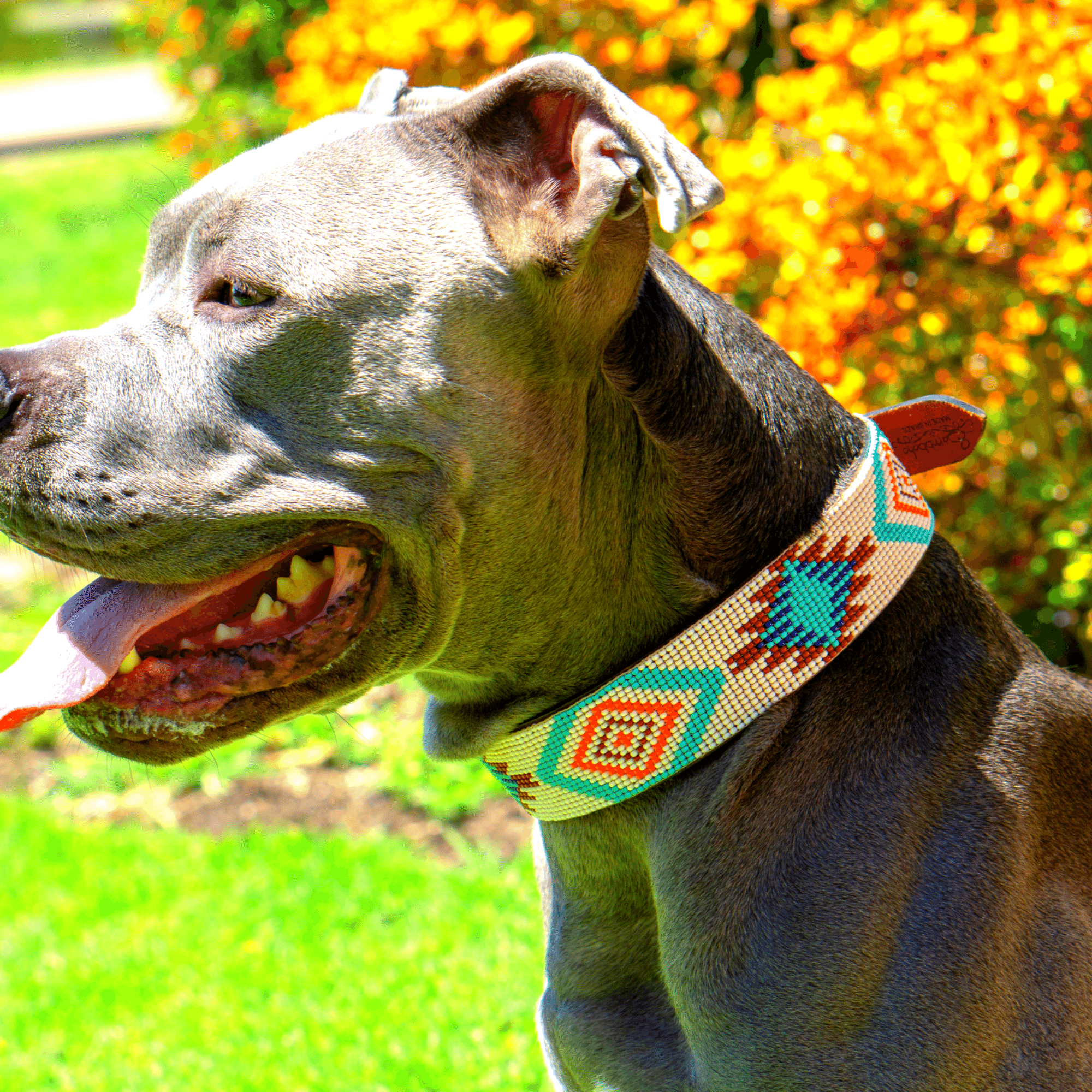 Sambboho – Engroshandel Halsbånd - Hund – Sambboho Aztec halsbånd til hunde med perler og læder7