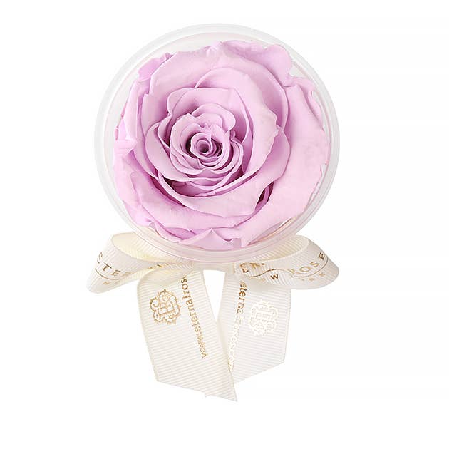 Eternal Roses® - Wholesale Party Favor - Eternal Rose Party Favors16