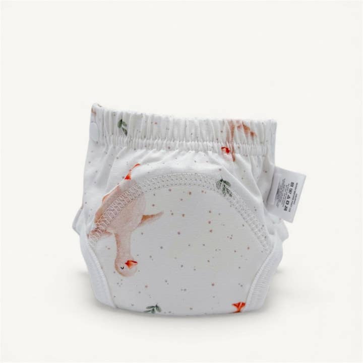 Toilet Training Undies Pants | Goose for wholesale by Mimi and Co