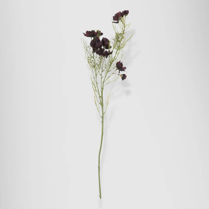 Faux Cosmos, Burgundy for wholesale by Bloomist