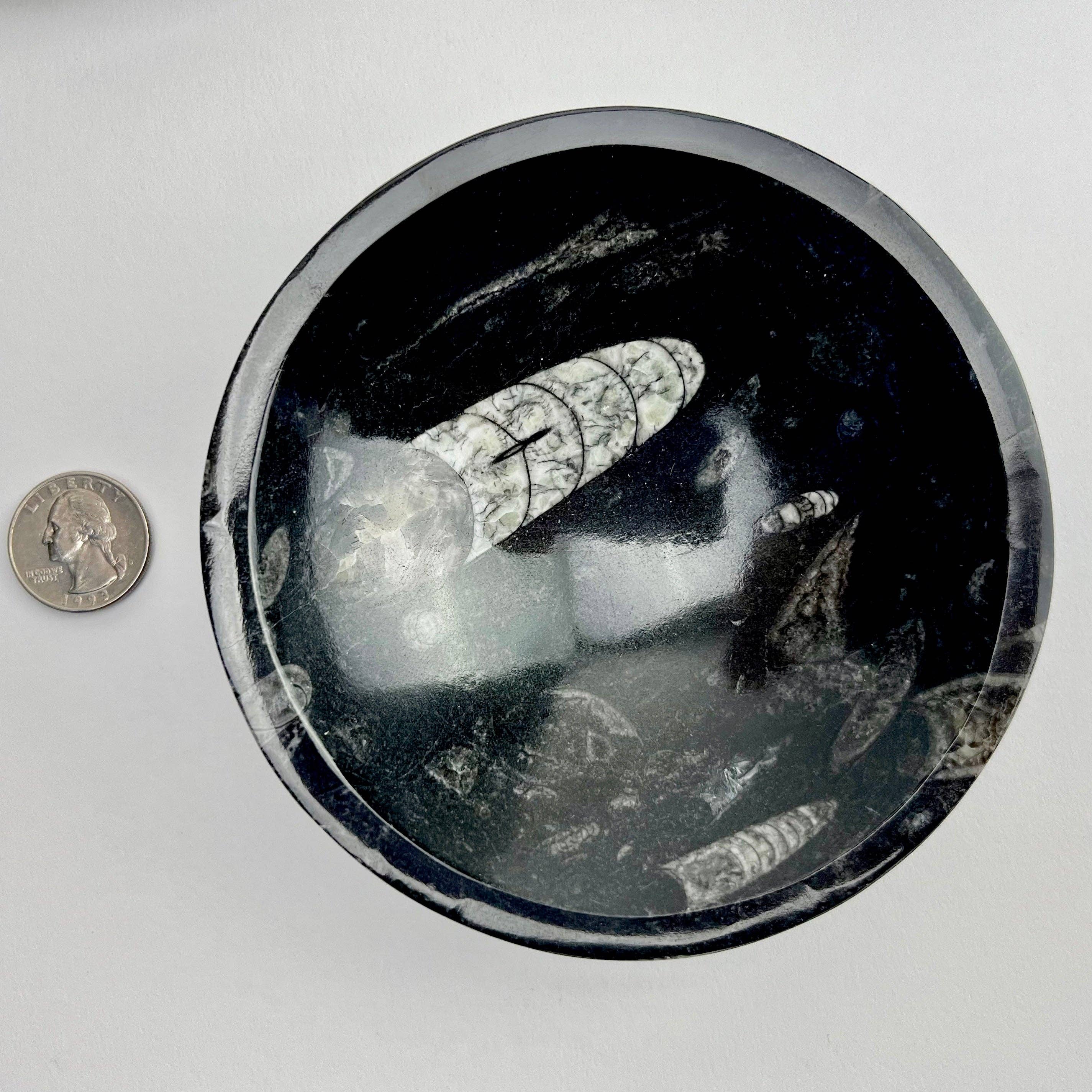 Pelham Grayson Rose – wholesale Decorative plate/dish/bowl – Orthoceras Bowl | Morocco | 120mm2