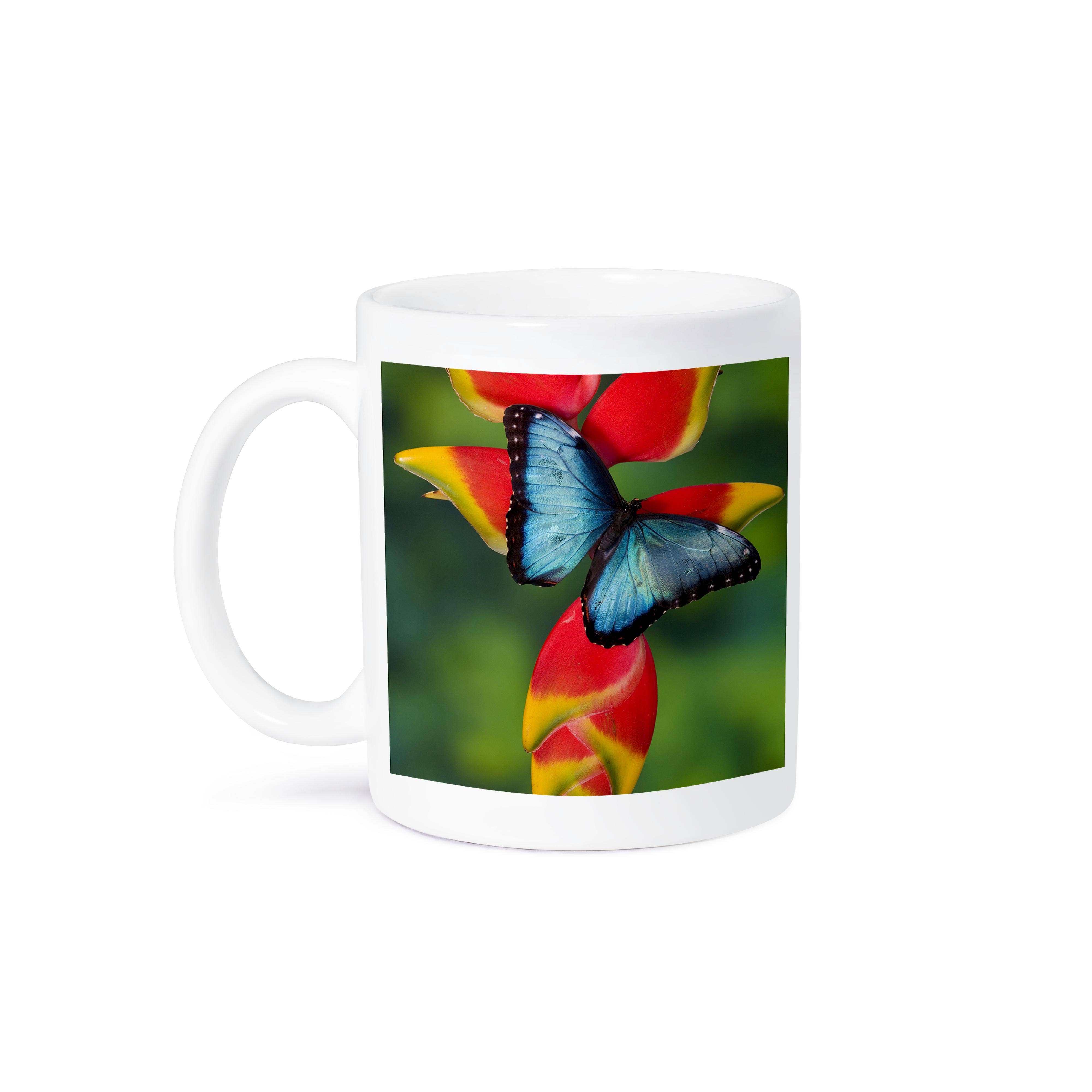 3dRose - Wholesale Coffee Mug - 3dRose, Blue Morpho Butterfly, Morpho granadensis, on Heliconia flower., Mug8