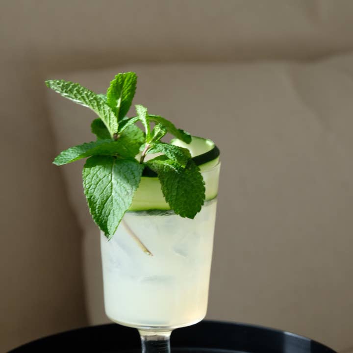 WithCo Cocktails - Wholesale Cocktail Mix/Syrup - Hey Girl Mix (Cucumber, Mint, Lime)1