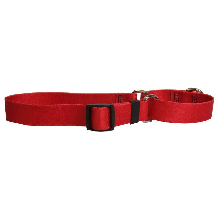 Martingale rouge solide pour la vente par Yellow Dog Design