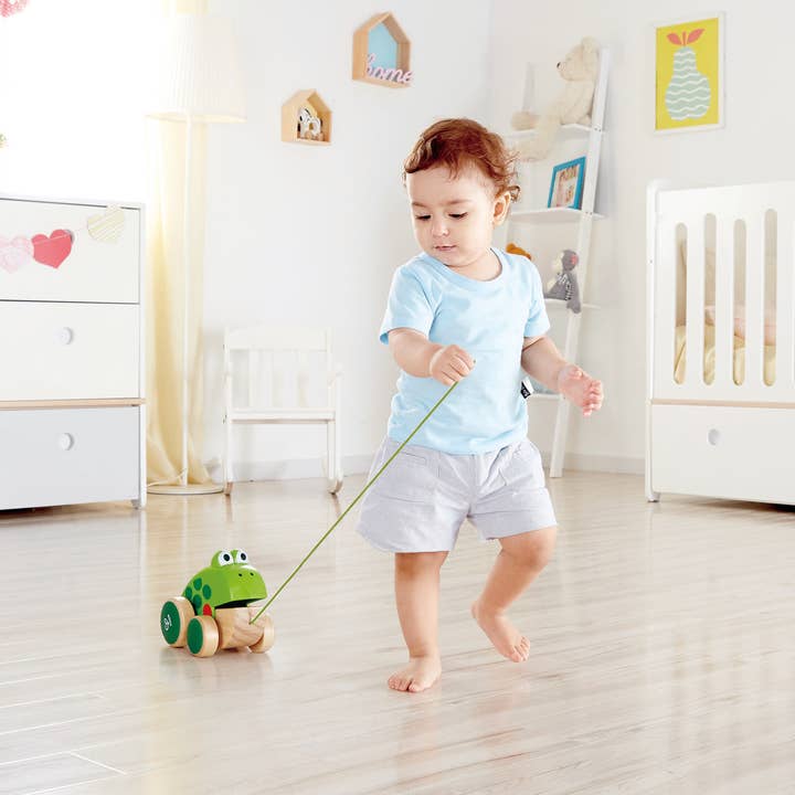 Hape Toys - Wholesale Wood Toy - Kids - Pull Along Frog - Fun Wooden Toy for Toddlers 12 Months1