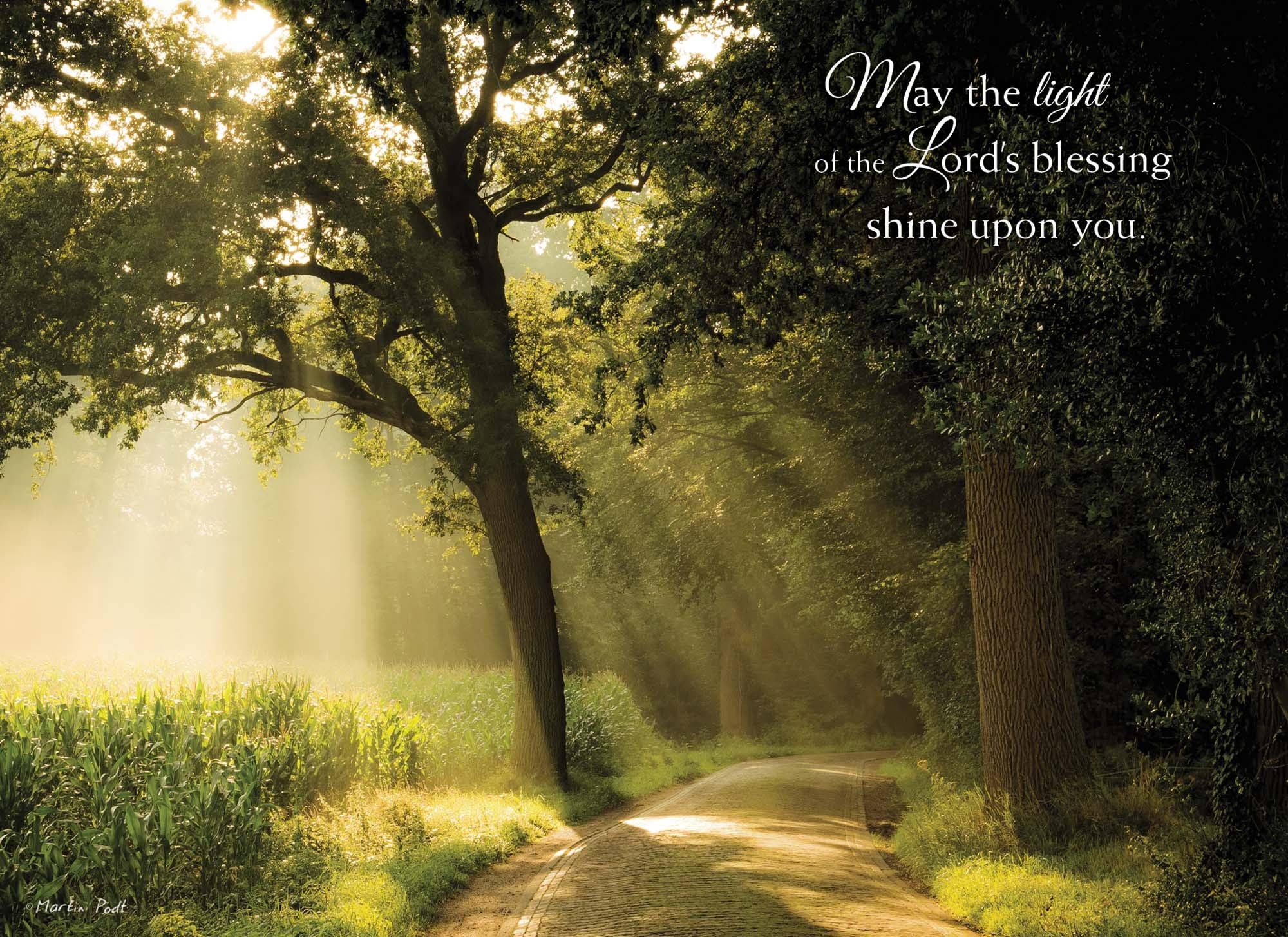 Crown Point Graphics - Wholesale Birthday Card - Celebrations -  48 Assorted Birthday Cards by Shared Blessings30