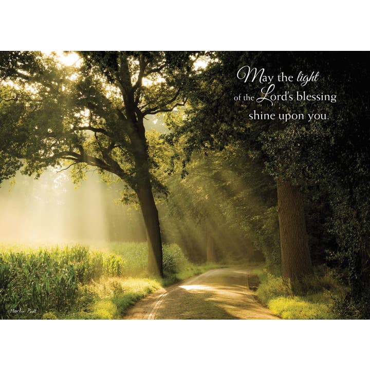 Crown Point Graphics - Wholesale Birthday Card - Celebrations - 48 Assorted Birthday Cards by Shared Blessings30