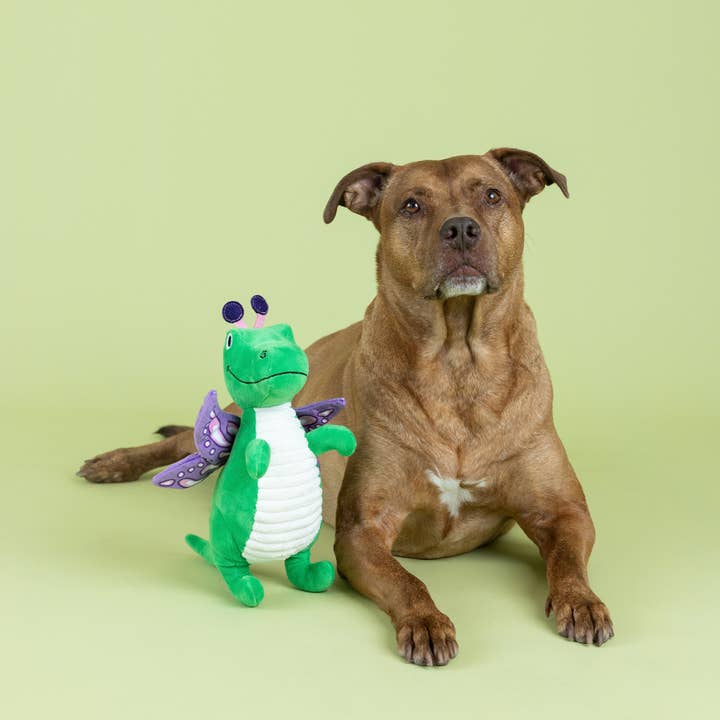 Petshop by Fringe Studio - Wholesale Pet Plush Toy - Dog - FLUTTER REX PLUSH DOG TOY