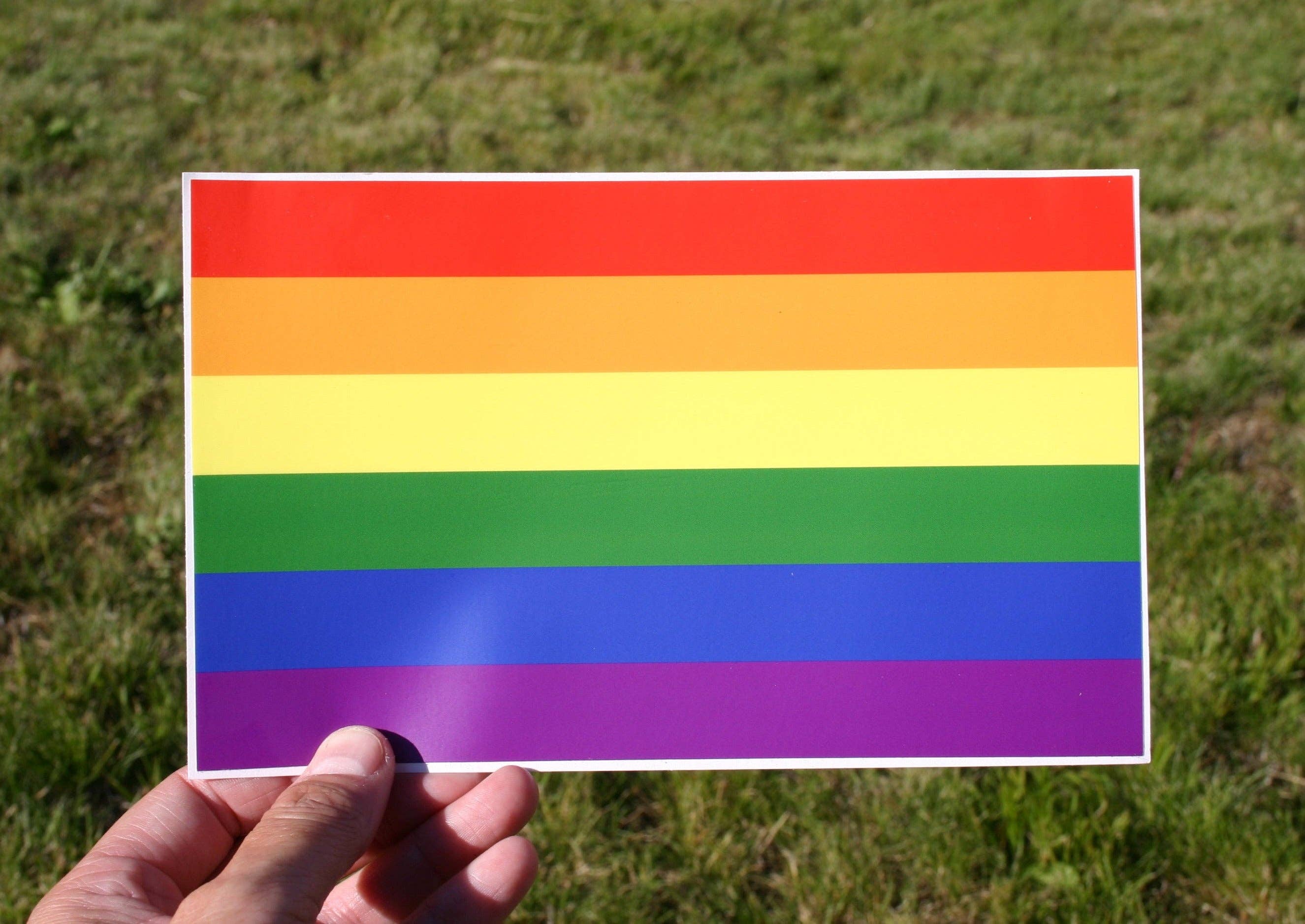 Discovery Stickers - Wholesale Sticker - Rainbow Flag Vinyl Sticker5