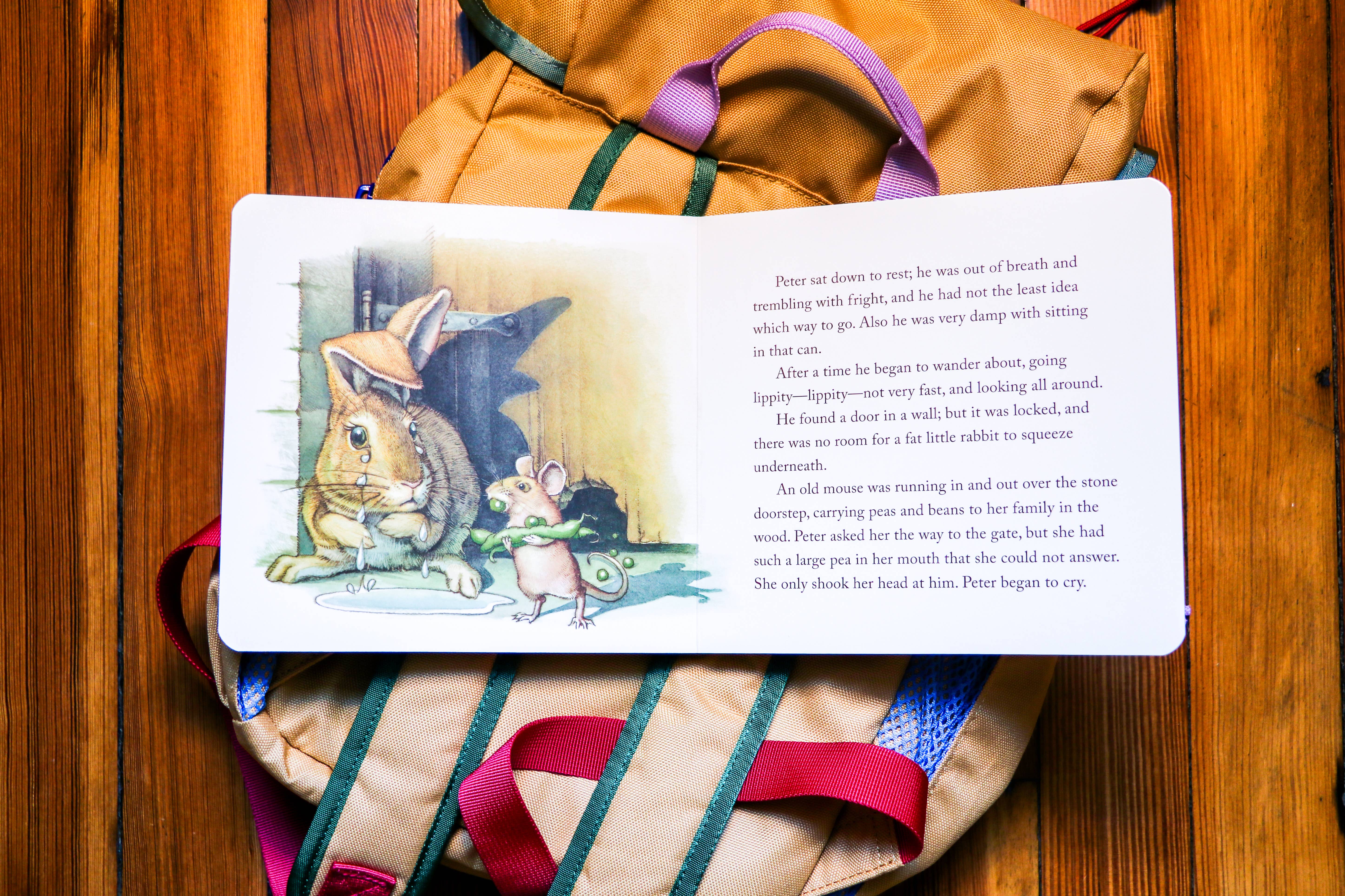 HarperCollins Focus - Wholesale Baby & Toddler Book (0-2) - The Classic Tale of Peter Rabbit Board Book: Revised Ed6