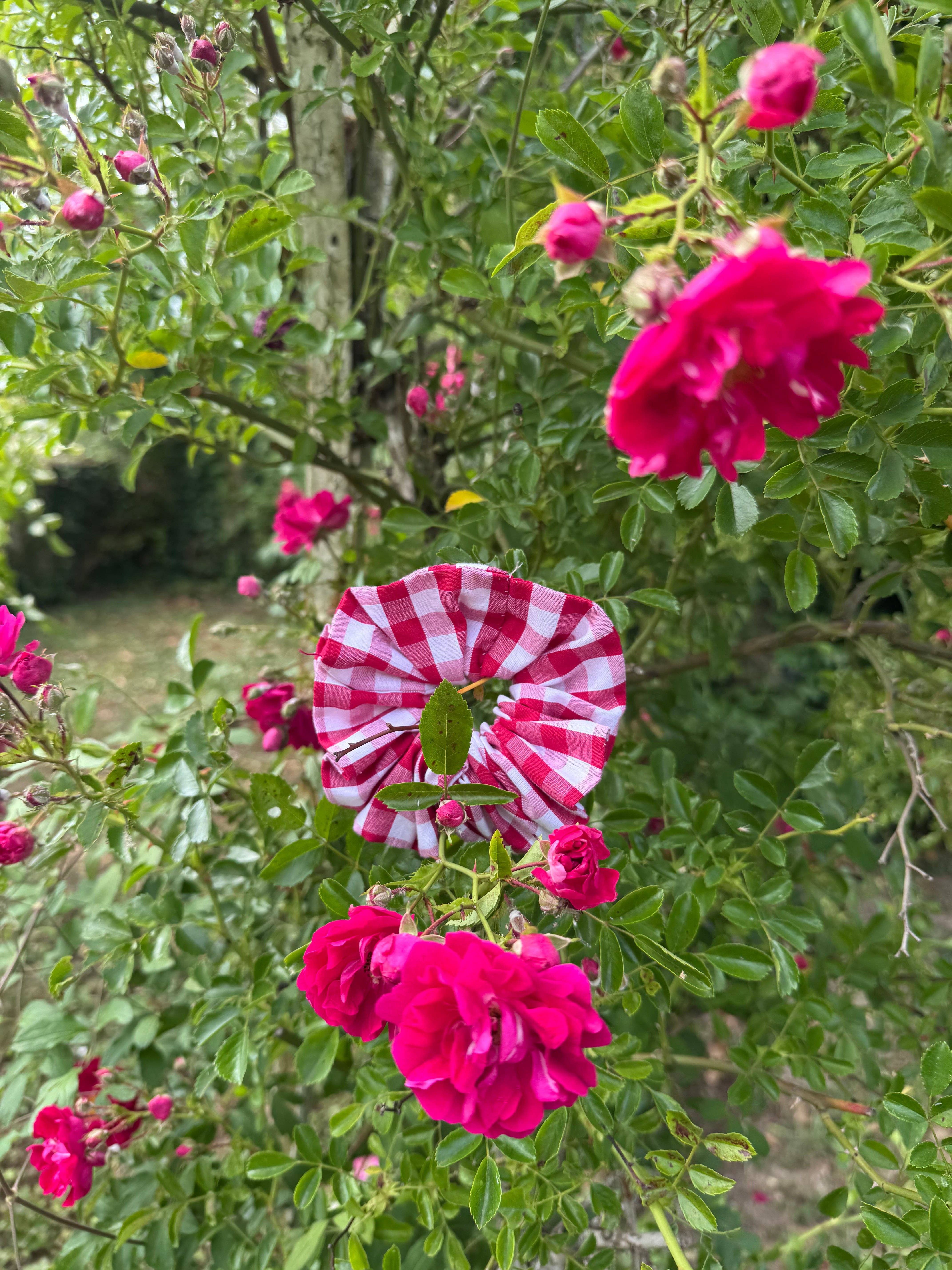 Pandelis - Wholesale Scrunchie - Women's - PENELOPE FAVORITE