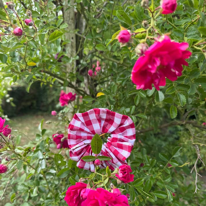 Pandelis - Wholesale Scrunchie - Women's - PENELOPE FAVORITE0