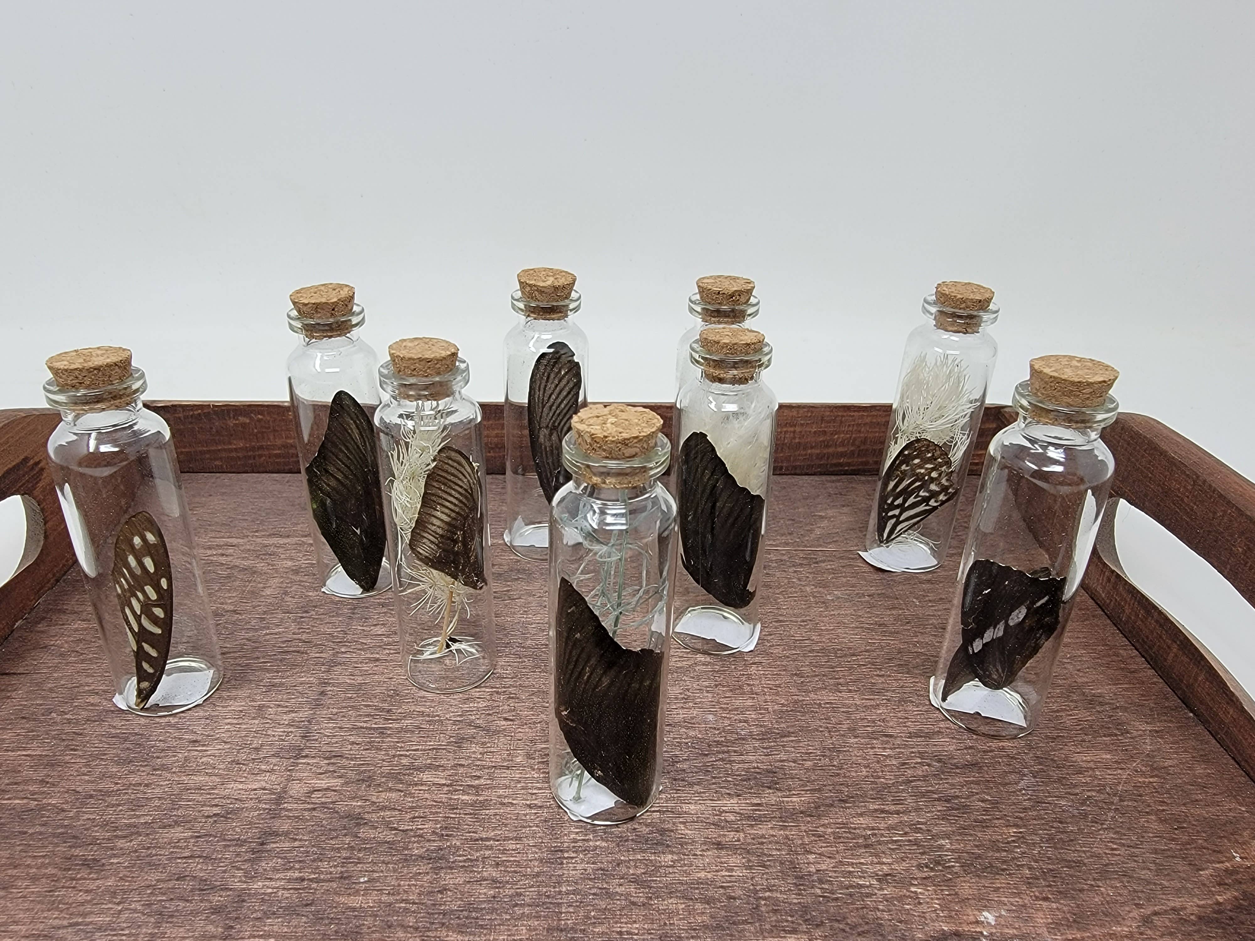 The Cozmic Cauldron - Vendita all'ingrosso Decorazioni da tavolo - Ali di farfalla decorative in boccette0