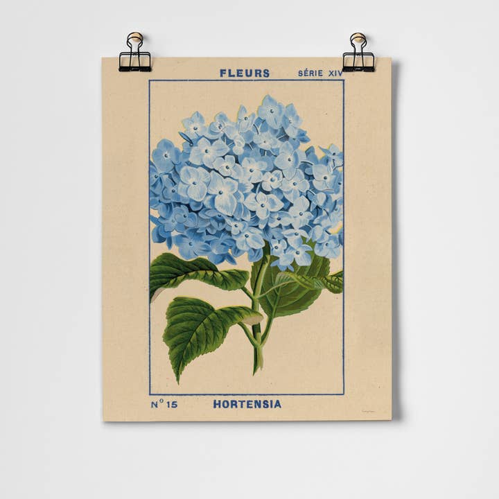 Hydrangea Fine Art Print for wholesale by Roomytown Inc