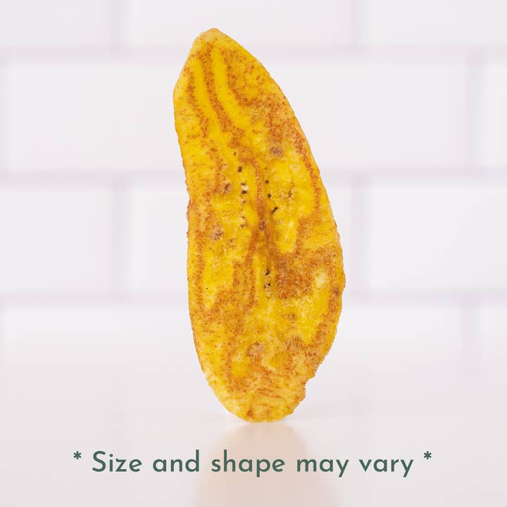 Artisan Tropic - Wholesale Chips - 4.5 oz Plantain Strips: Sea Salt4